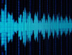 Willkommen bei bodalgo!